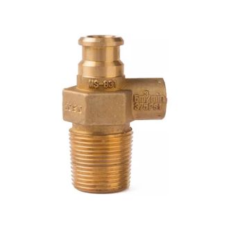 Barbecue Using Pressure Relief Brass LPG Valve